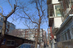 收费时无所不能，腾房时作壁上观，有些法拍房“助拍”不靠谱