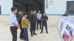 王启武调研督导码头铺镇重点工作