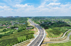 以数赋绿，推动数字化技术与绿色化融合发展