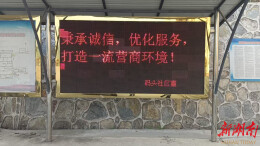 澧县码头铺镇：深入转变政府职能  助力优化营商环境