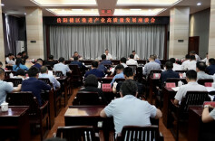 岳阳楼区推进产业高质量发展座谈会召开