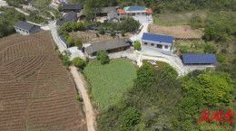 残疾夫妇用勤劳酿造“蜂”富人生