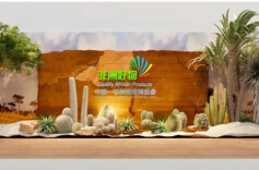 非洲好物网购季来了！长沙人速抢（内附活动详情）