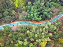 中新网|湘潭市岳塘区：推进村庄规划编制 构建“和美湘村”