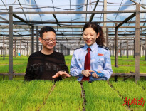 万象“耕”新，税绘湘村好“丰”景