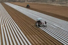 岳麓山评论 | 喜看村支书的“土味视频”成为乡村振兴“新农具”