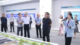 湖南省中非经贸合作促进研究会徐湘平一行赴新港区考察