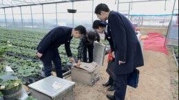 湖南农信系统支持春耕备耕拉满“进度条”