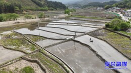 聚焦灾后重建 | 资兴州门司镇丹坳村：抢农时保生产 制种插秧正当时