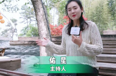 推窗见山  闭门听风|归隐松涧理想村落的故事