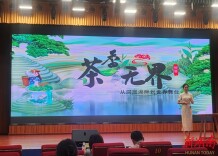 双冠加冕！君山选手问鼎全市“岳工杯”文旅技能暨职工职业大赛