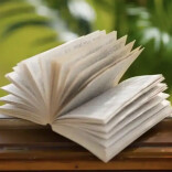 三湘时评｜读书始终是一件安安静静的事