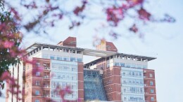 图集|春日长理 光影作序（一）