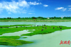 《地图洞庭》：洞庭湖千年沧桑的视觉诠释