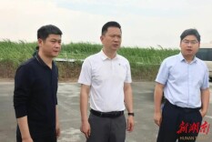 【第四届湖南旅游发展大会】陈淼现场督导旅发大会项目建设工作