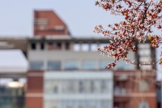 图集|春日长理 光影作序（二）