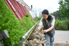 理论·智库丨大学生创新创业应弘扬拼搏进取精神