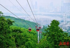 岳麓山-橘子洲提醒游客：请预约再入园