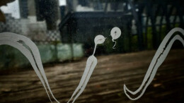 唐红霞：借“第三只眼”，邂逅日常里的小确幸