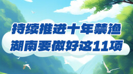 政策简读丨持续推进十年禁渔 湖南要做好这11项