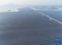 我国首个高风速海域海上光伏项目实现全容量并网