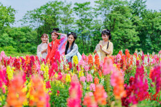 假期第四天，湖南接待游客近1420万人次