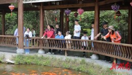 通道：侗乡风情引客来