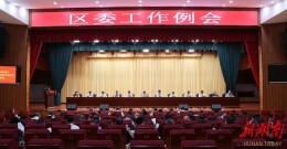 雷欣主持召开区委工作例会