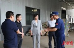雷欣开展节前安全生产检查