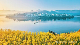 手机摄影 | 陈光辉，开启美好生活