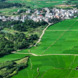 犁头耕出春雨甜