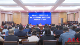 王启武主持召开澧县2025年一季度经济形势分析暨第二次县级领导碰头、现代化产业体系建设领导小组第三次会议