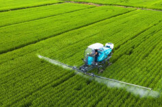 三湘时评｜农业科普，须以“良币”驱“劣币”