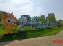 【第四届湖南旅游发展大会】区城管局：匠心打造主题花坛 绿韵花海迎盛会