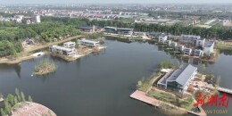 【第四届湖南旅游发展大会】君山区鸟语林：湿地生态文旅项目攻坚正酣 力保旅发大会绽放光彩