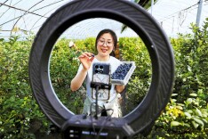 Livestreaming plays key role in growth