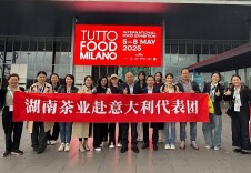湖南组织茶叶团队参加2025意大利米兰国际食品展