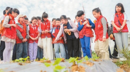 读报|5月14日《科教新报》速览