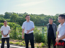 白再兴深入郭镇乡调研乡村振兴工作