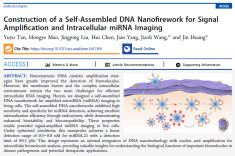 南华大学谭誉宇和王姣丽团队发表最新研究成果：自组装DNA纳米烟花用于信号放大和细胞内miRNA成像