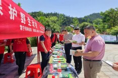 常宁市林业局开展