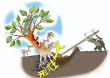 理论·新域丨发挥自治、法治、德治作用，整治基层形式主义