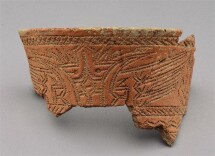 一粒种子的前世今生