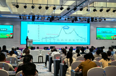 湖南发布5月野生蘑菇中毒指数：Ⅱ级（较高）