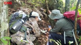 湖南邵阳新宁首现大规模水晶兰群落