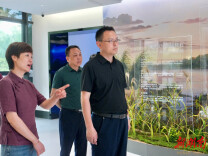 白再兴调研岳阳楼区备战省旅发大会项目建设