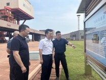 段宁一行赴新港区调研