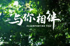 民法典宣传月【MV】|与你相伴