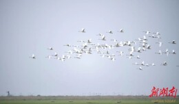 【大美江湖 精致君山】在天下洞庭，感受具象化的“诗和远方”