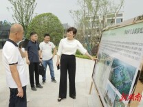 【第四届湖南旅游发展大会】雷欣督导调研第四届湖南旅游发展大会观摩项目建设